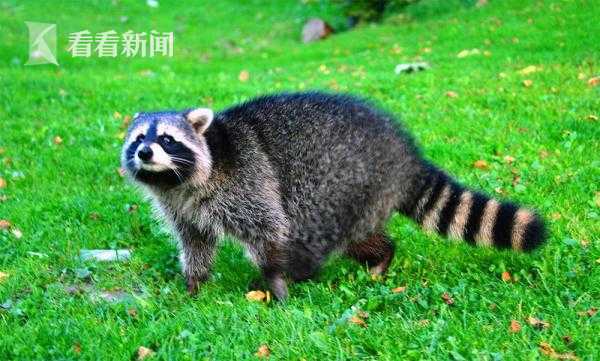 木材_襄阳市火车站附近小巷子