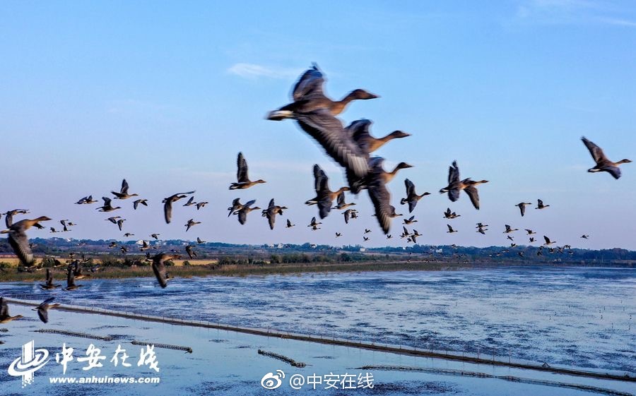 能源_武汉成人快餐哪里有