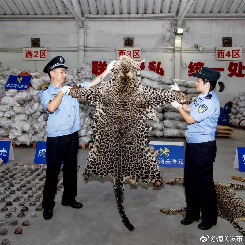 律师_南方医院附近有一条龙吗