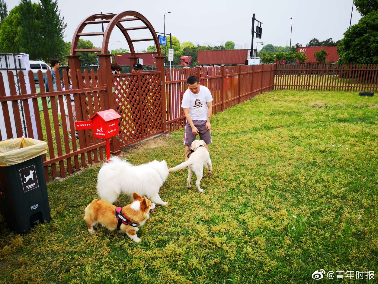 py群都是哪里找的衢州@审察,py群是什么意思