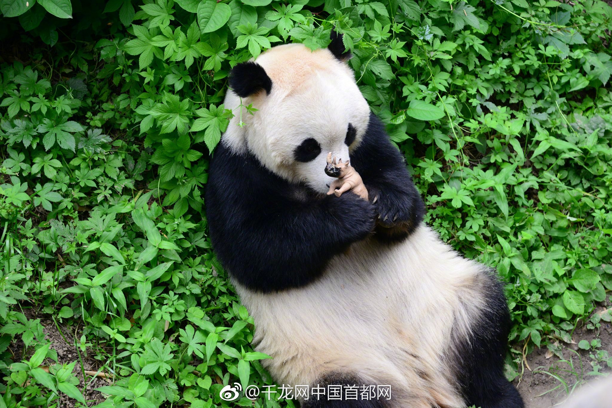 快递员_杨浦区哪里有站街的巷子