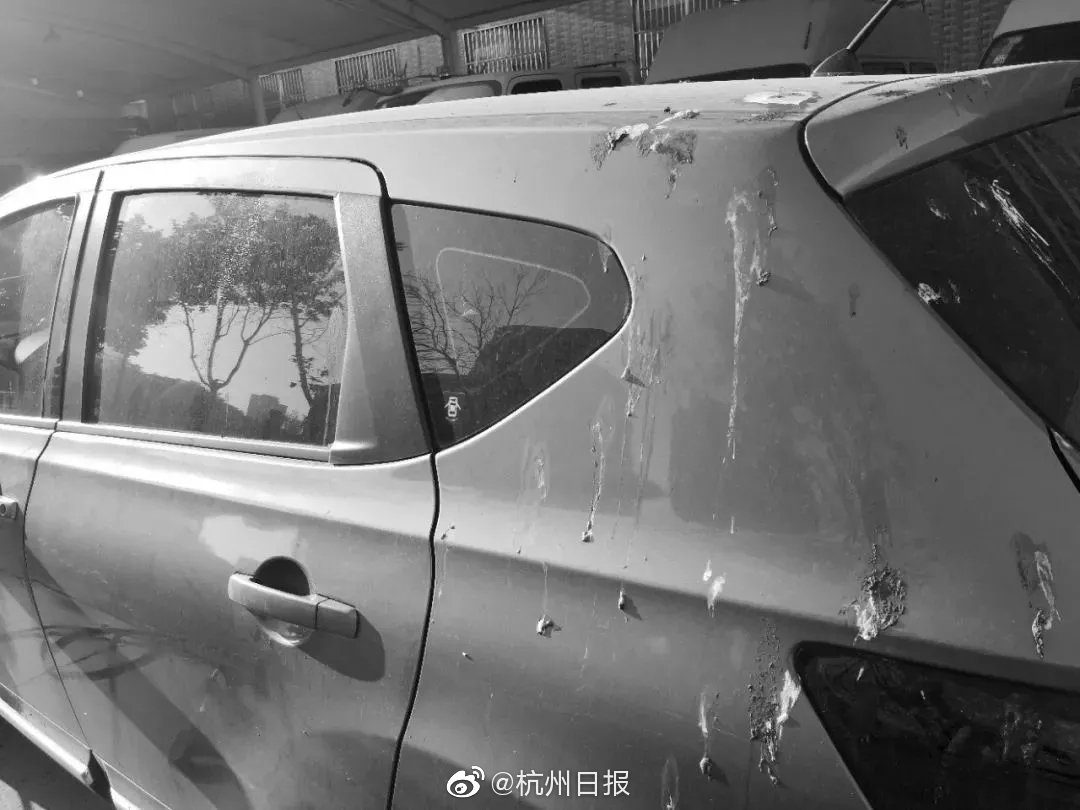 女生电话号码大全,女性电话号码用什么数字好