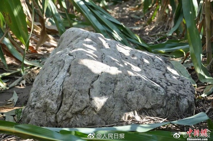 400元快餐不限次数联系