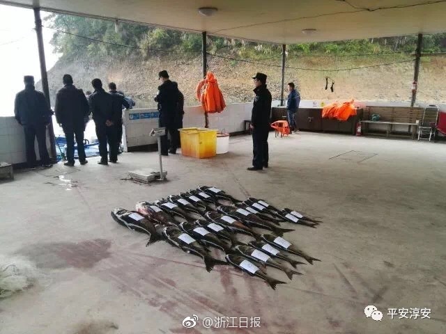 陪练_株洲有没有150的快餐