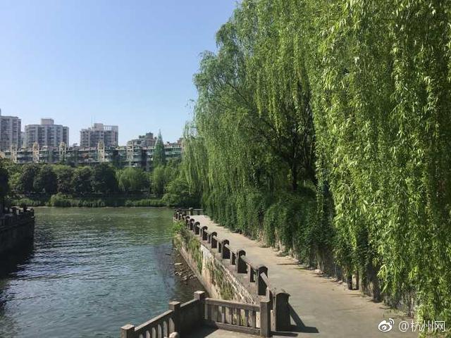 租赁?高端外陪女,租陪游女