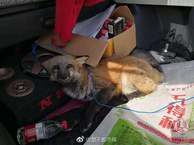 建材‘沐足技师一炮大概多少钱,一般沐足技师多少钱一个月