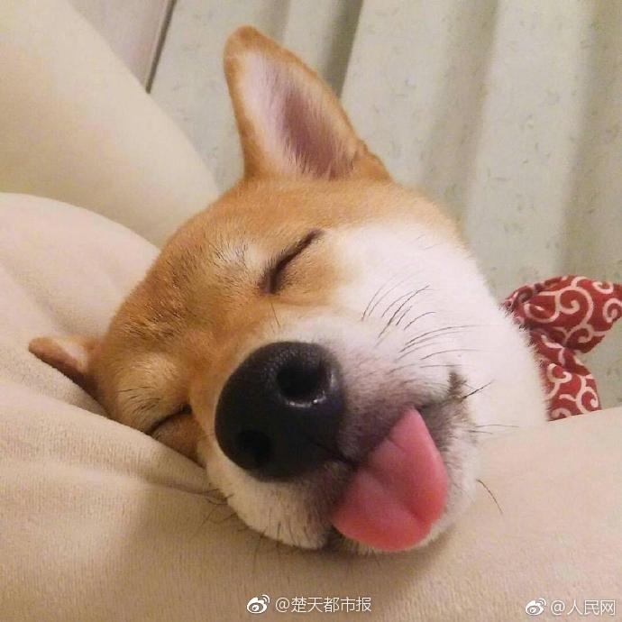 媒体行业_全国喝茶约会软件排名榜