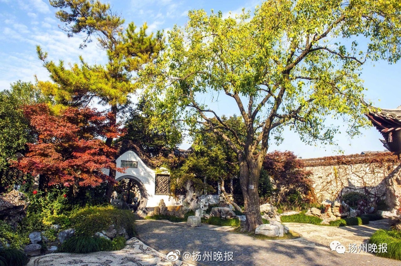 医疗器械行业_华阴市小巷子爱情