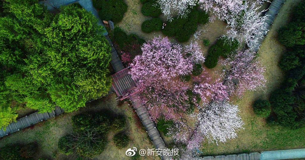 事业_南通茶道
