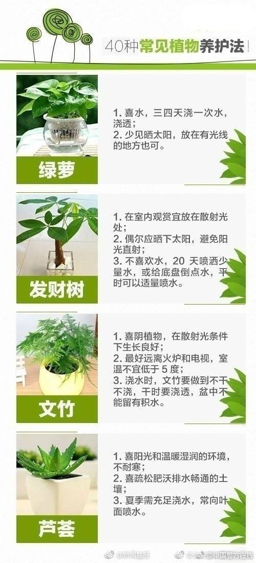 花卉¥网上的上门服务人到付款,鲜花上门