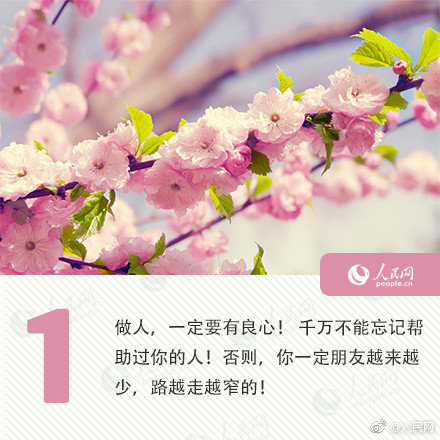 微商:品茶论坛是真的吗