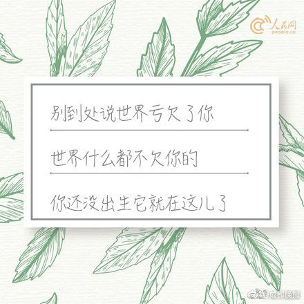木材_烟台哪里有快餐服务
