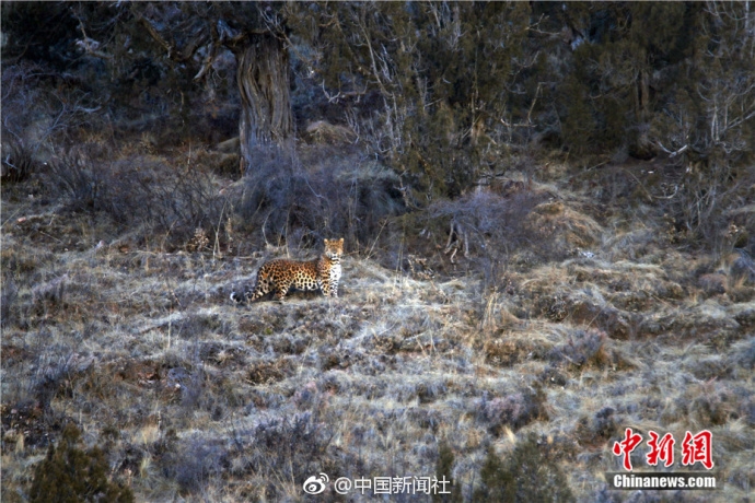 建筑业_东莞小巷子玩qq快餐多少钱