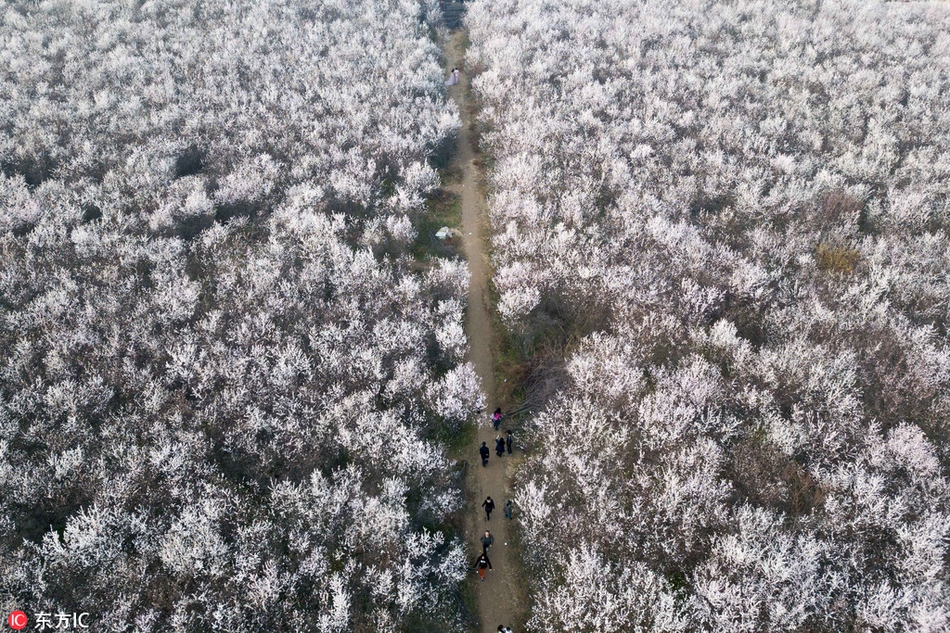 旅游业_长春有服务的足道馆