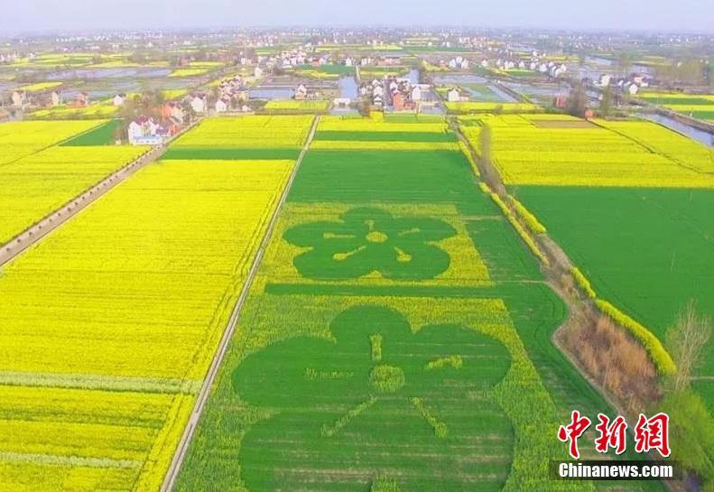 银行业:哪个软件可以约茶