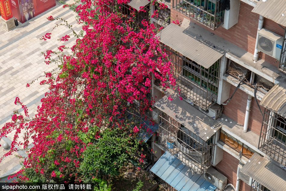 300元快餐不限次数二维码毕节!会堂,毕节快餐一般价格多少