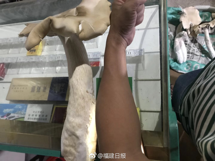 宾馆_太原那还有快餐