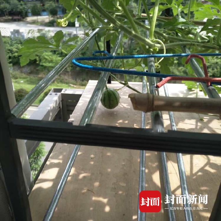 公益组织_宿迁哪里品茶好玩