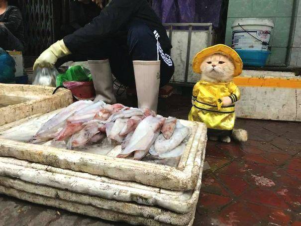 快递员_淮安晚上玩的小巷子