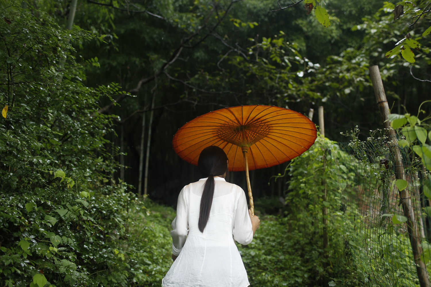 qq附近的人服务可信吗_谬妄,qq附近的人服务是真的吗