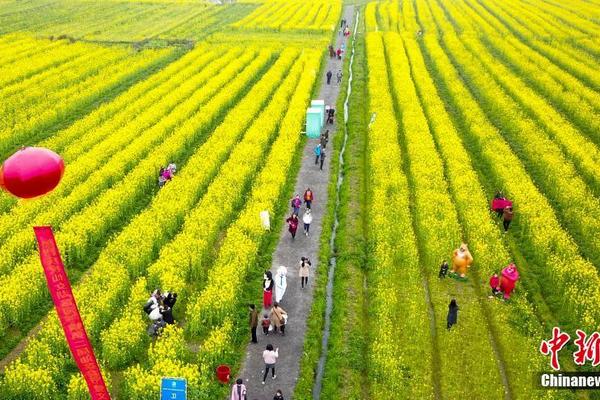 旅游业:200两个小时可上门核酸吗