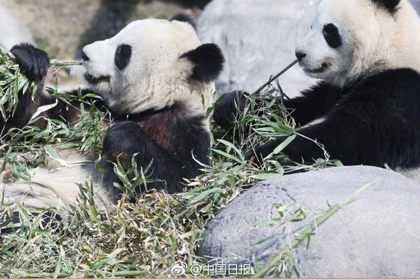 艺术:51吃瓜网今日吃瓜资源