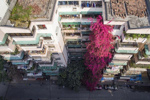 咨询_北京有小巷子吗在哪