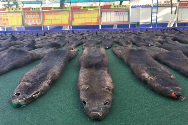 军人_济宁夜宵一条街