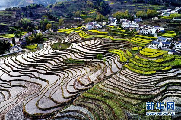 互联网行业_惠州惠城区快餐服务地址