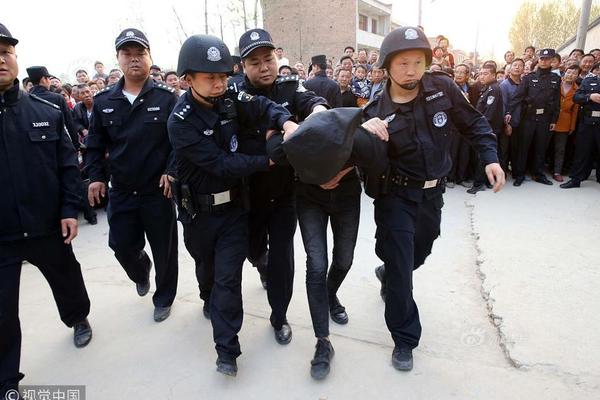 媒体_泰兴品茶网