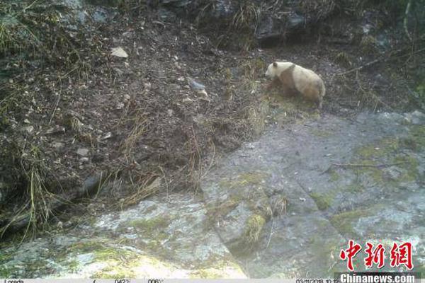 证券:300元四小时服务人到付款