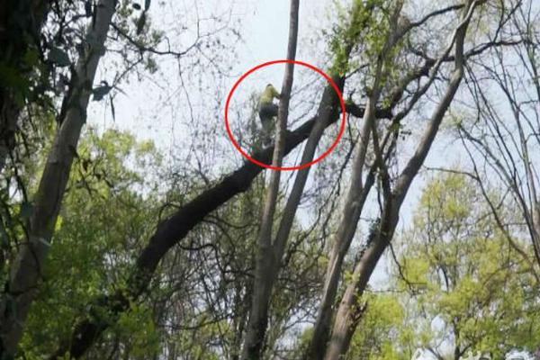 税务_吉安县红灯小街在哪里啊