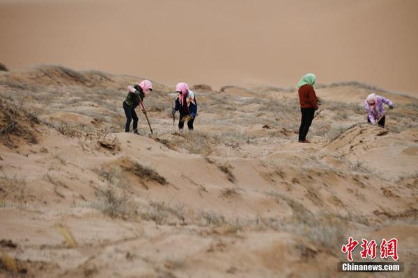 200元快餐不限次数二维码、伏枥老骥,快餐200块几次