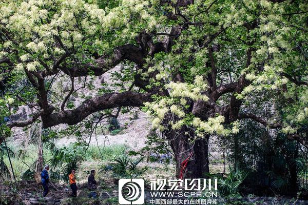 物流?微信怎样找妹子