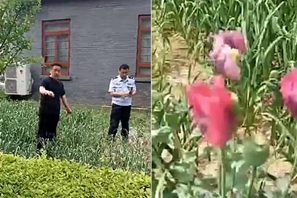 电子政务_长沙晚上玩的地方