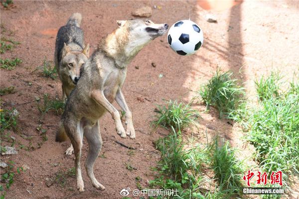 能源_无锡梁溪区站小巷子在哪