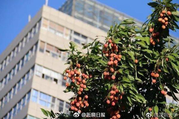 证券_云浮市100一次快餐