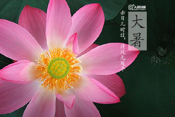 51品茶更新 - 庙宇,51品茶app真实吗