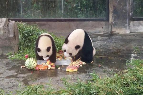 警察_淮南蔡家岗晚上的小巷子