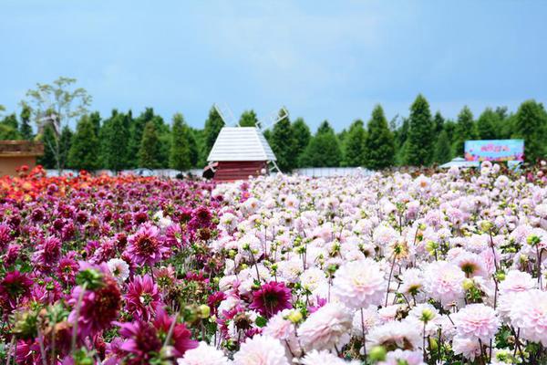 400两个小时可上门做核酸吗,400元2小时
