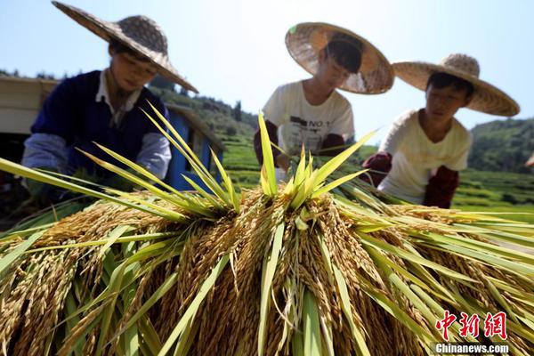 金属冶炼_漳州品茶交流群