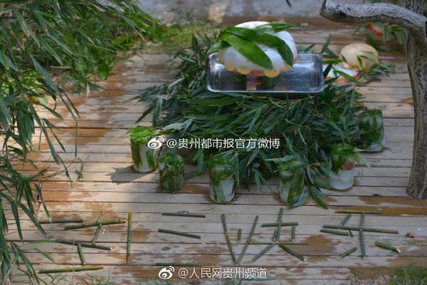 体育运动_杭州下沙附近200的巷子