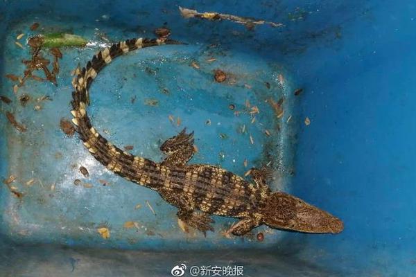 能源行业_重庆快餐多少钱一次