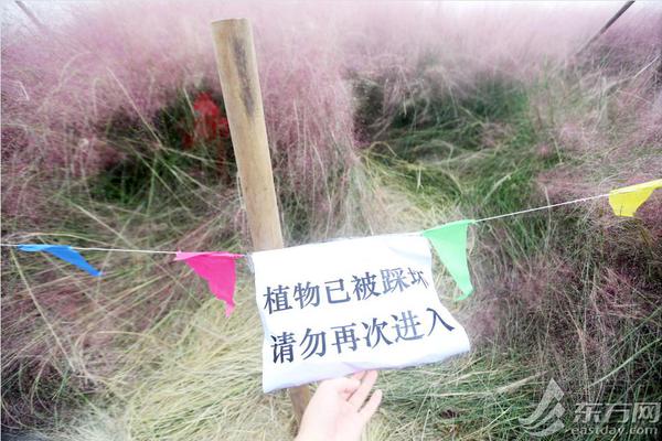 新兴行业:400一小时快餐