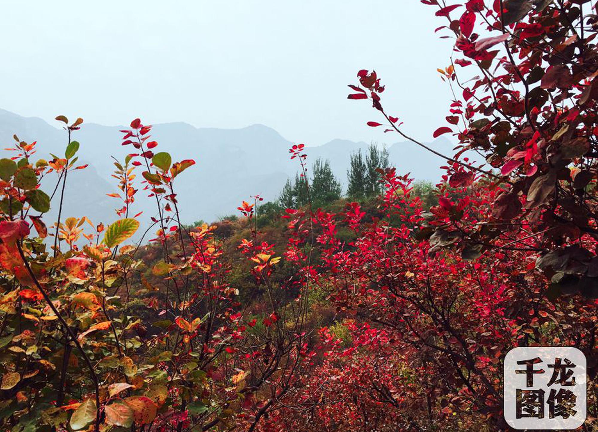 qq上400快餐是真的吗,qq上400快餐4小时靠得住吗