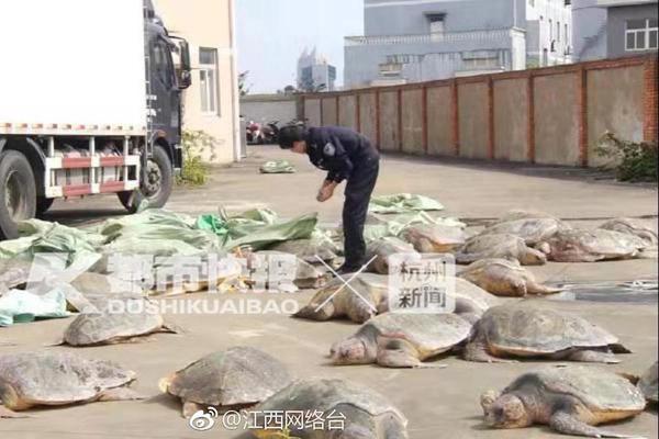 票务?上门商务女,上门服务规则
