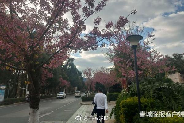 建筑业:qq附近的人400块