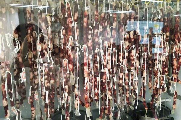 教育行业_成都品茶号2019