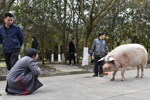 餐饮业_汕头半套