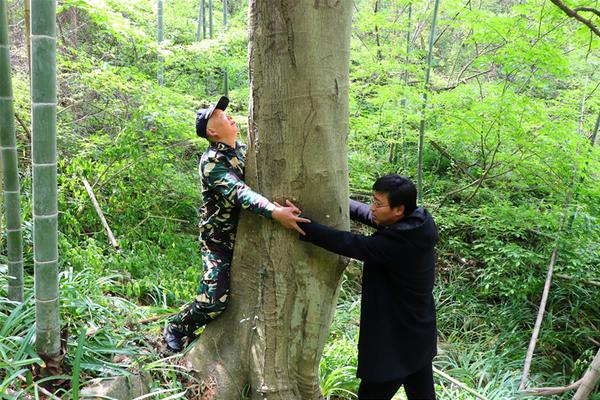 票务¥100元一次到他家